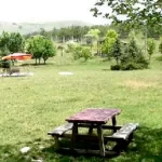 aslan-dagi-mesire-alani