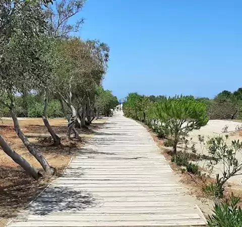 patara-plaji