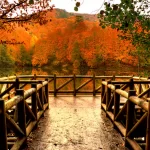 yedigoller-milli-parki