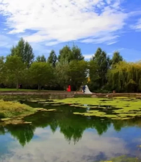 ata park botanik bahcesi