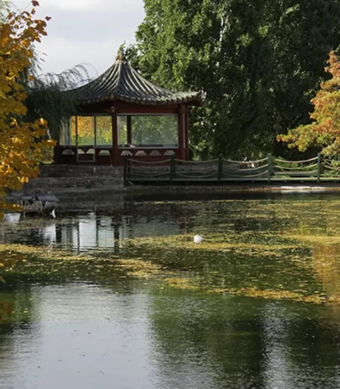 ata park botanik bahcesi