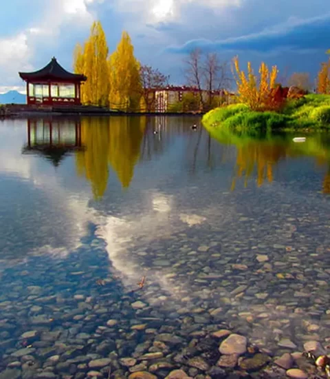 ata park botanik bahcesi