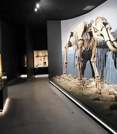 erzurum arkeoloji muzesi